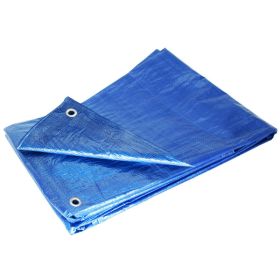 Blue 10 x 20 Tarp