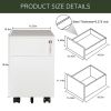 2 Drawer Mobile File Cabinet with Lock Metal Filing Cabinet for Legal/Letter/A4/F4 Size; Fully Assembled Include Wheels; Home/Office Design; WHITE